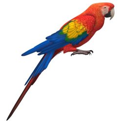 Ptactvo