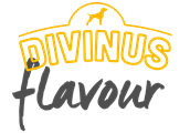 divinus.png