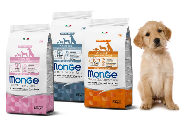 KRMIVA MONGE A GEMON